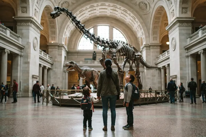 Museo Americano de Historia Natural
