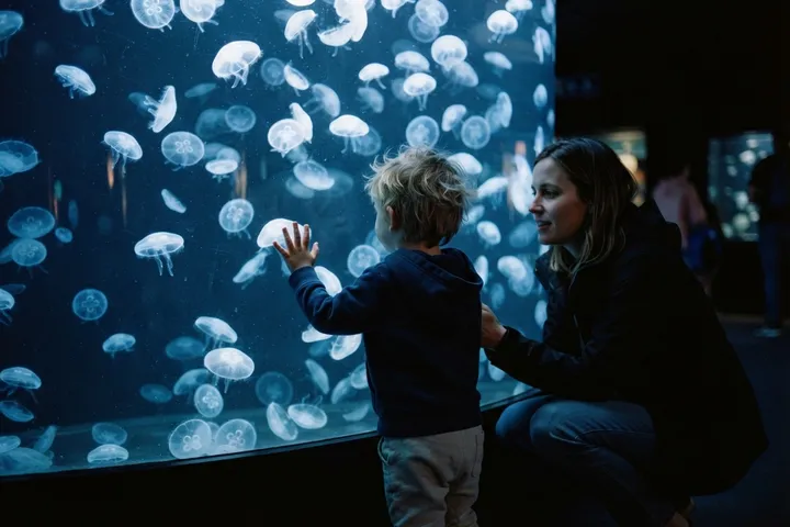 Aquarium de Paris