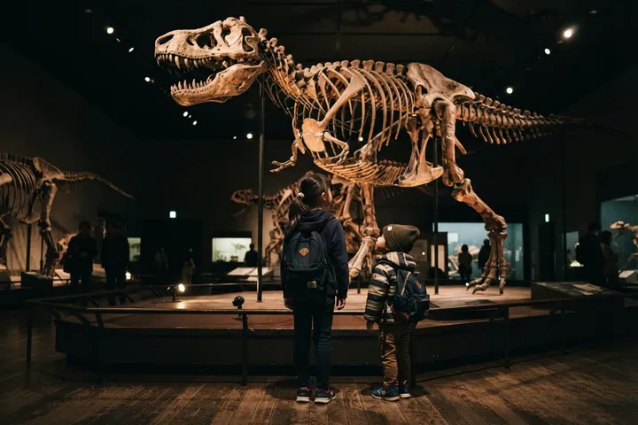 National Museum of Nature and Science
